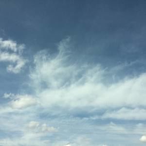 Meet your Posher, Ingrid